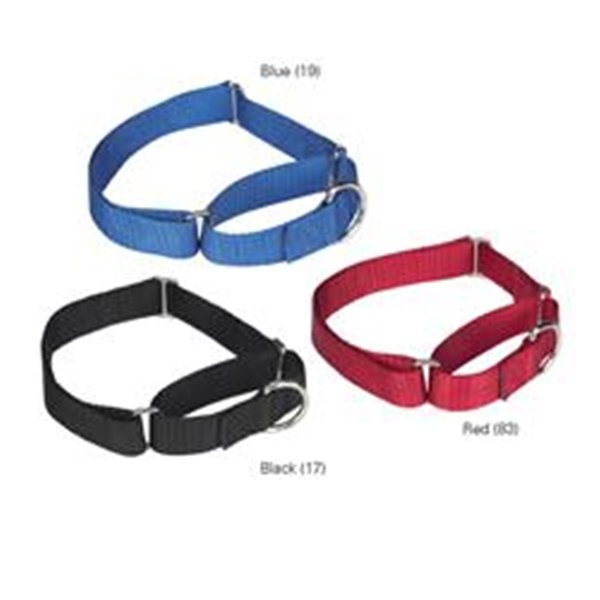 Guardian Survival Gear Guardian Gear ZA1513 18 17 Nylon Martingale Collar 18-26 In Black ZA1513 18 17